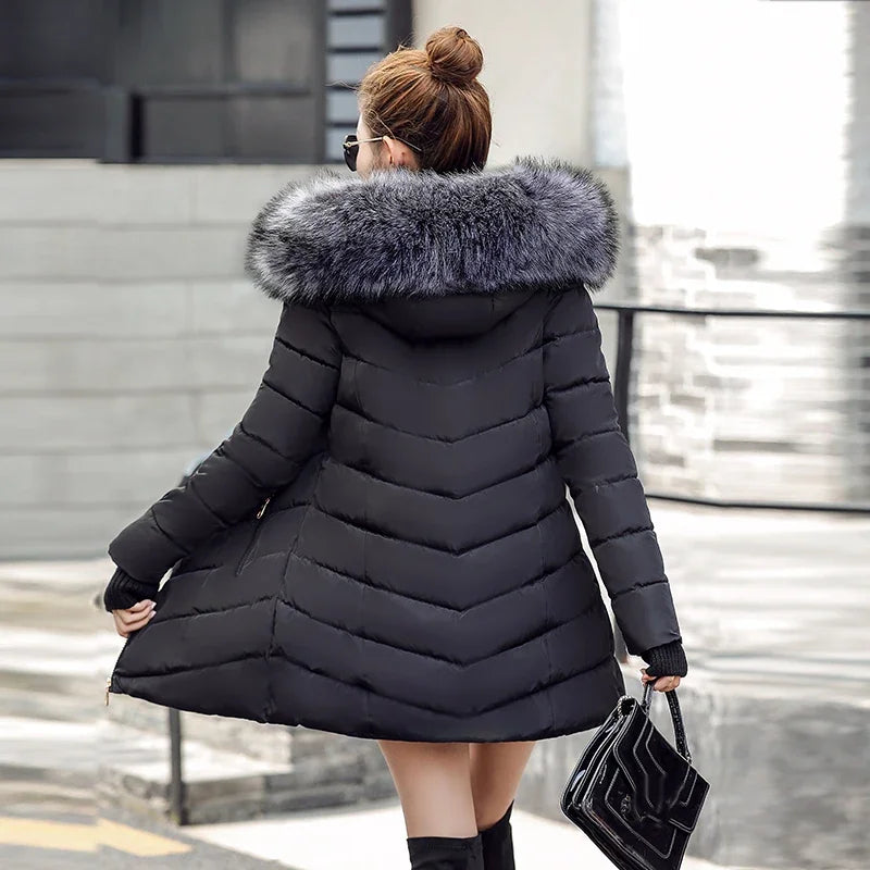 Coat Victoria